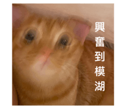 572840162