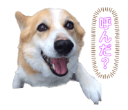 572840963