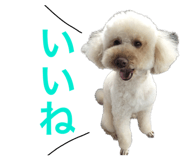 572840967