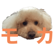 572840968