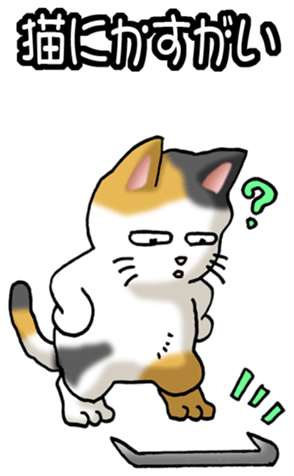 572849714
