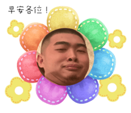 572881894