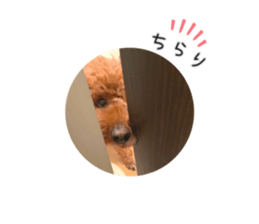 572887672