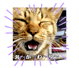 572887703
