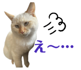 572923355