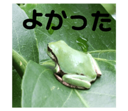 572923361