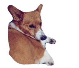 57294632