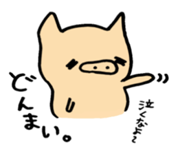 5729909