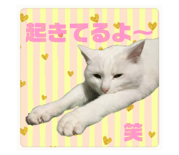 573023896