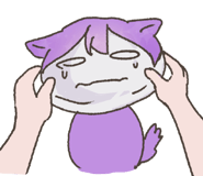 573029520
