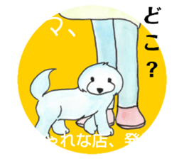 573037152