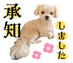 573038517