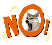 573075383