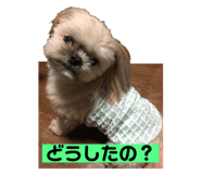 573098368