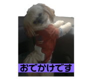 573098369