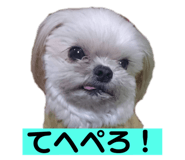 573098371
