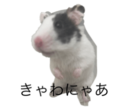 573216917