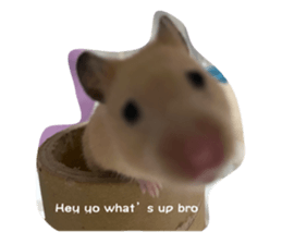 573231905