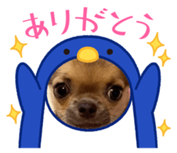 573233365