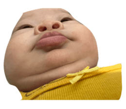 573233622