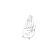 573233916