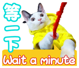 573235111