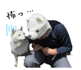 573257133