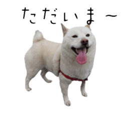 573257134