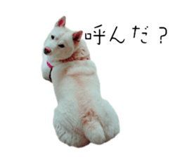 573257139
