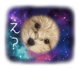 573312922