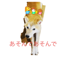 573321687