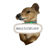 573325495