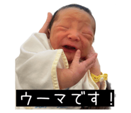 573331404