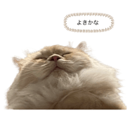 573345129
