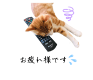 573421281
