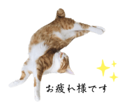 573421286