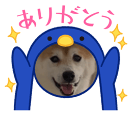 573421718