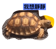 573426031