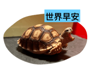 573426034