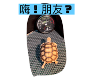 573426043