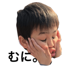 57355727