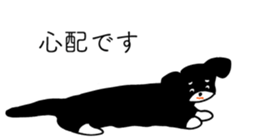 573605549