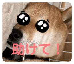 573650968