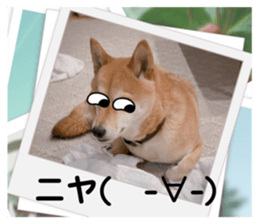 573650969