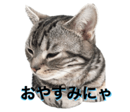 573717299