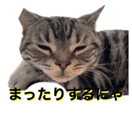 573717300