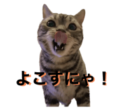 573717301