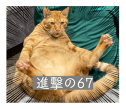 573720443