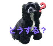 573721589