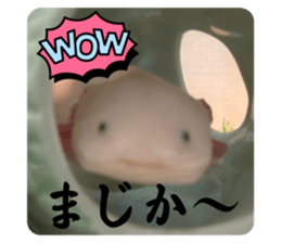 573772357